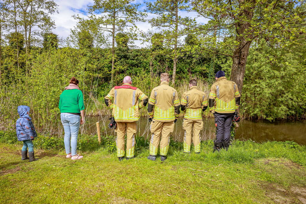 Zoekactie naar 1-jarige kater Tommy