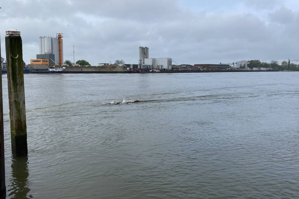 Brandweerboot sleept boom uit rivier
