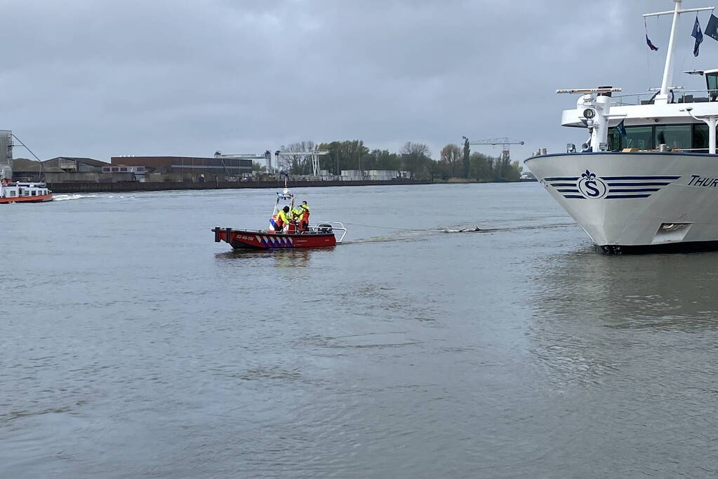 Brandweerboot sleept boom uit rivier
