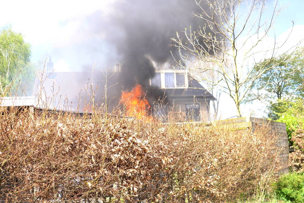 Konijn gered bij uitslaande brand in tuinhuisje