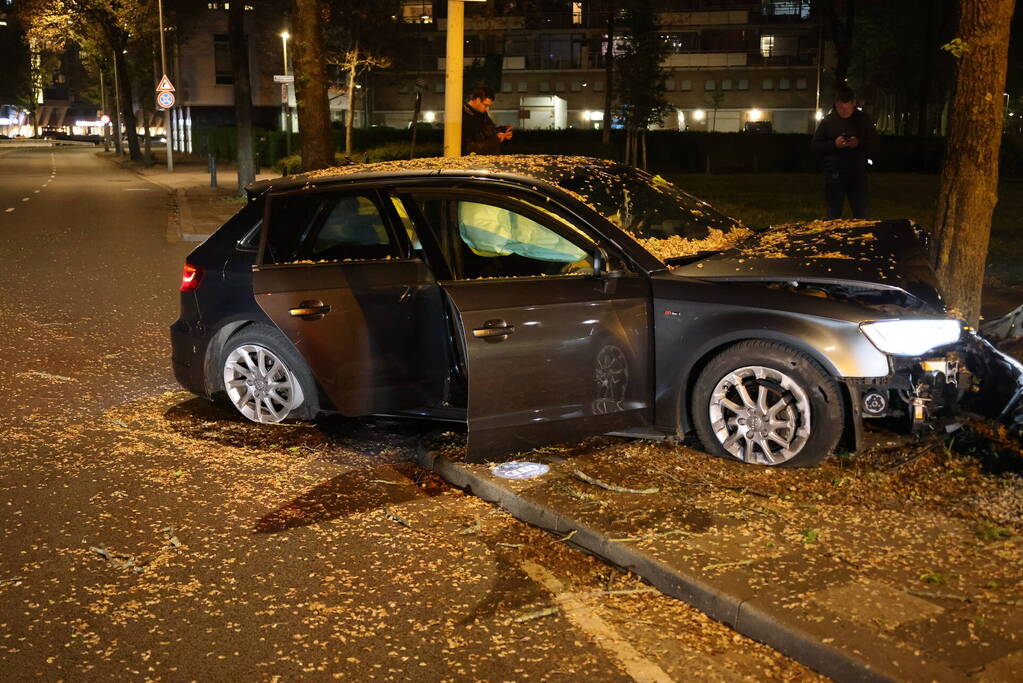 Automobilist klapt op boom