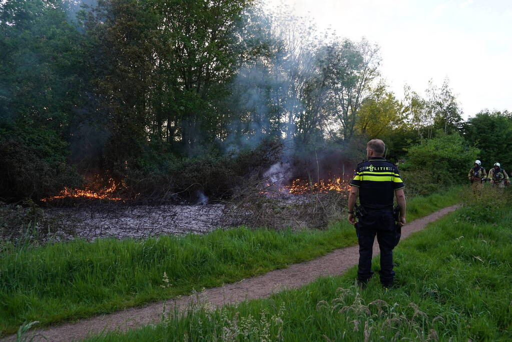 Tientallen vierkante meters natuurgebied verwoest door Brand