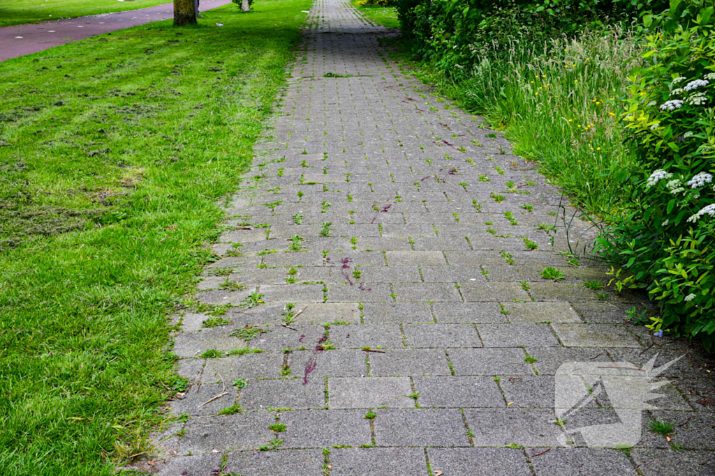 Persoon gewond na schietpartij