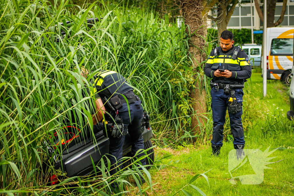 Auto eindigt in het riet
