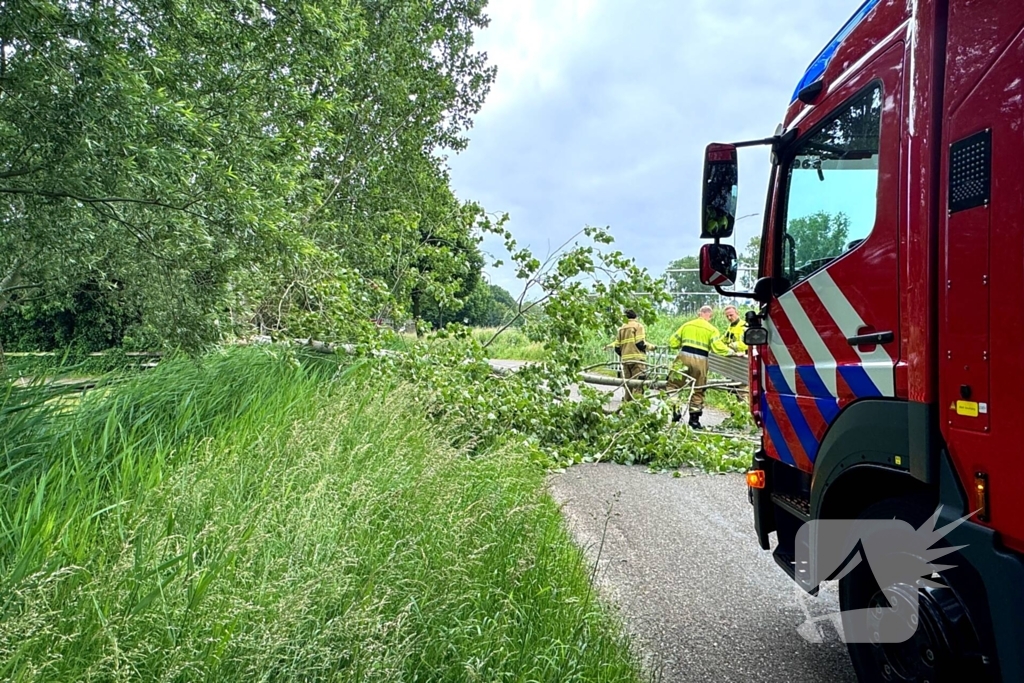 Voetganger door het oog van de naald na omvallen boom