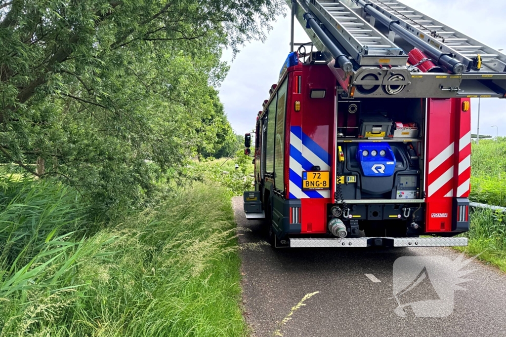 Voetganger door het oog van de naald na omvallen boom