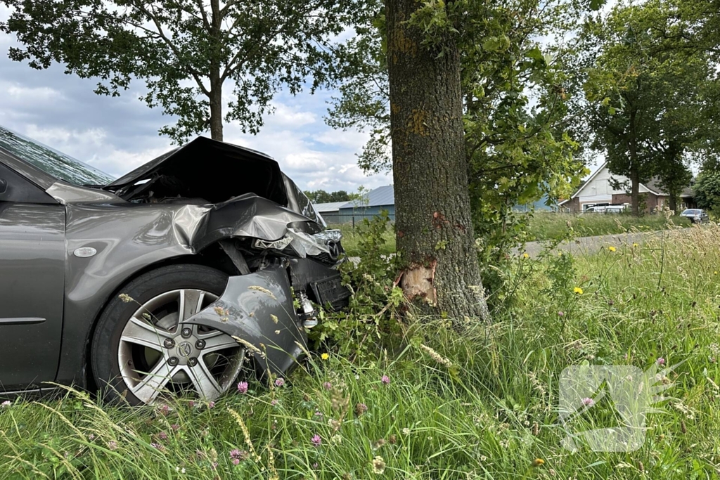 Bestuurder ramt boom en verdwijnt spoorloos