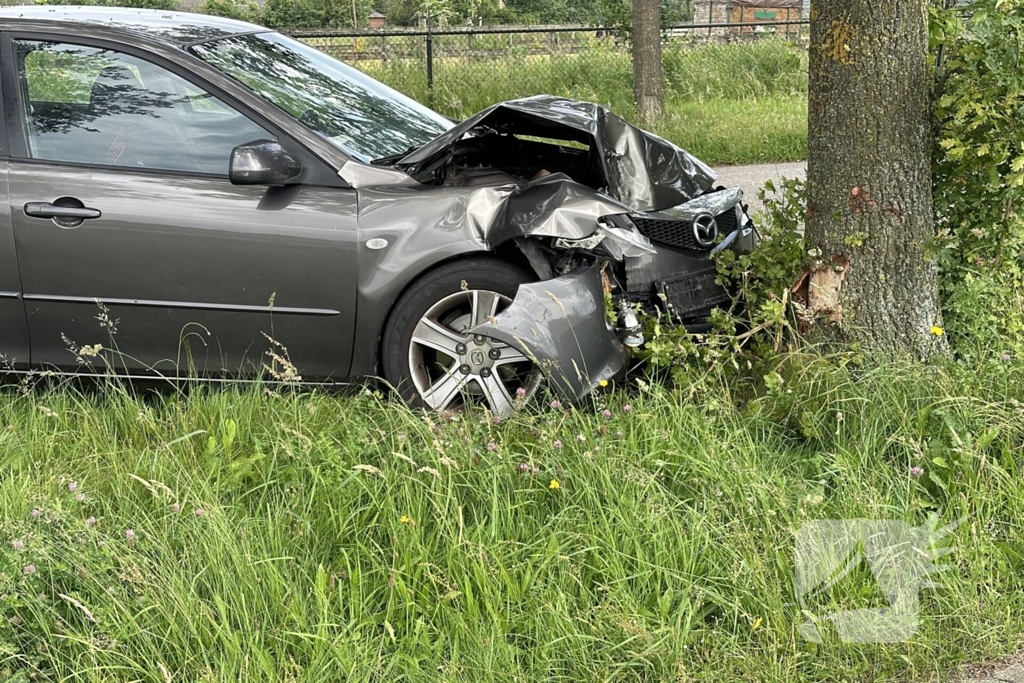 Bestuurder ramt boom en verdwijnt spoorloos