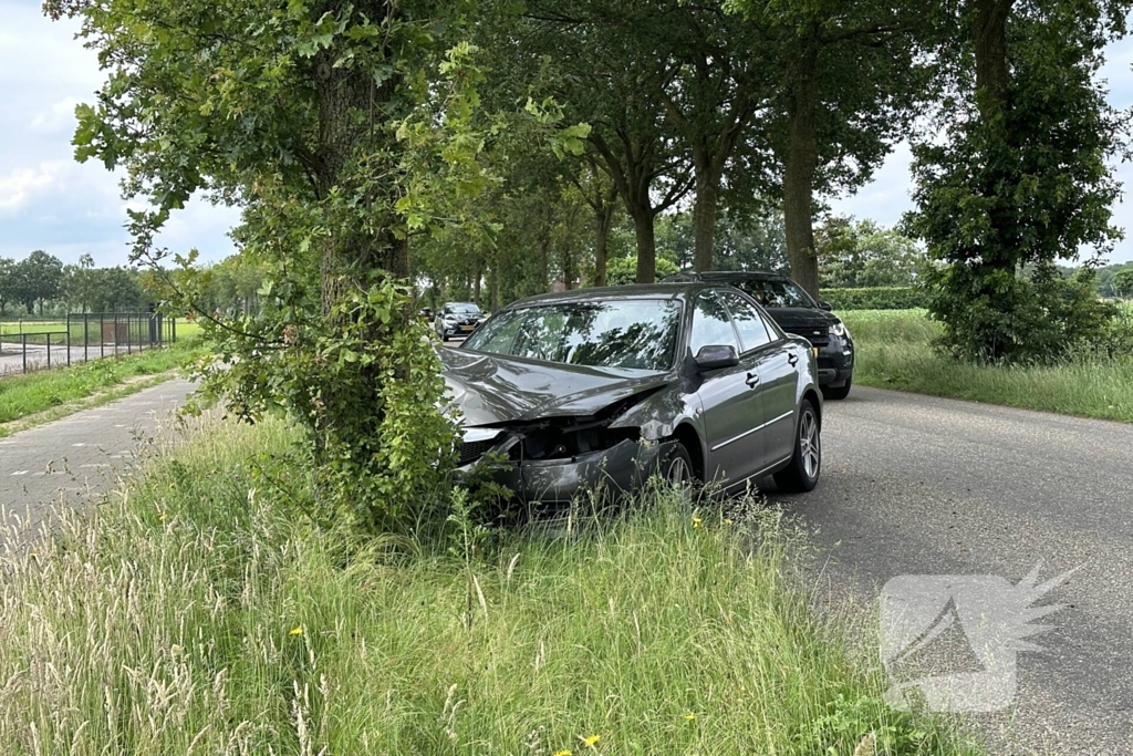 Bestuurder ramt boom en verdwijnt spoorloos