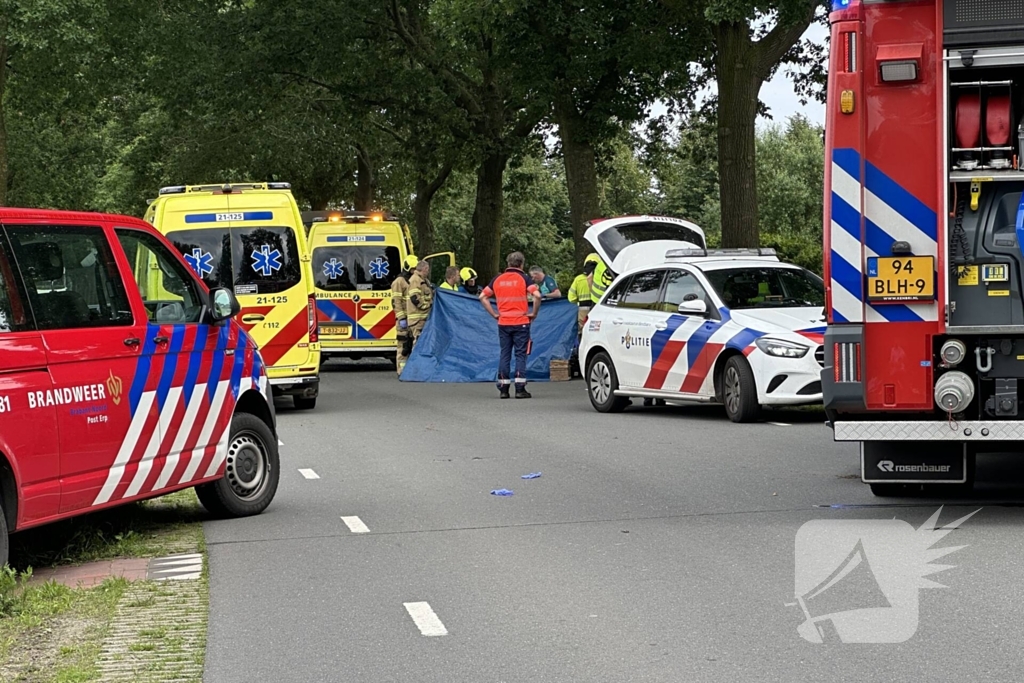 Bestuurder op slag dood na crash tegen boom