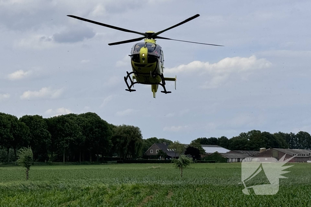 Bestuurder op slag dood na crash tegen boom