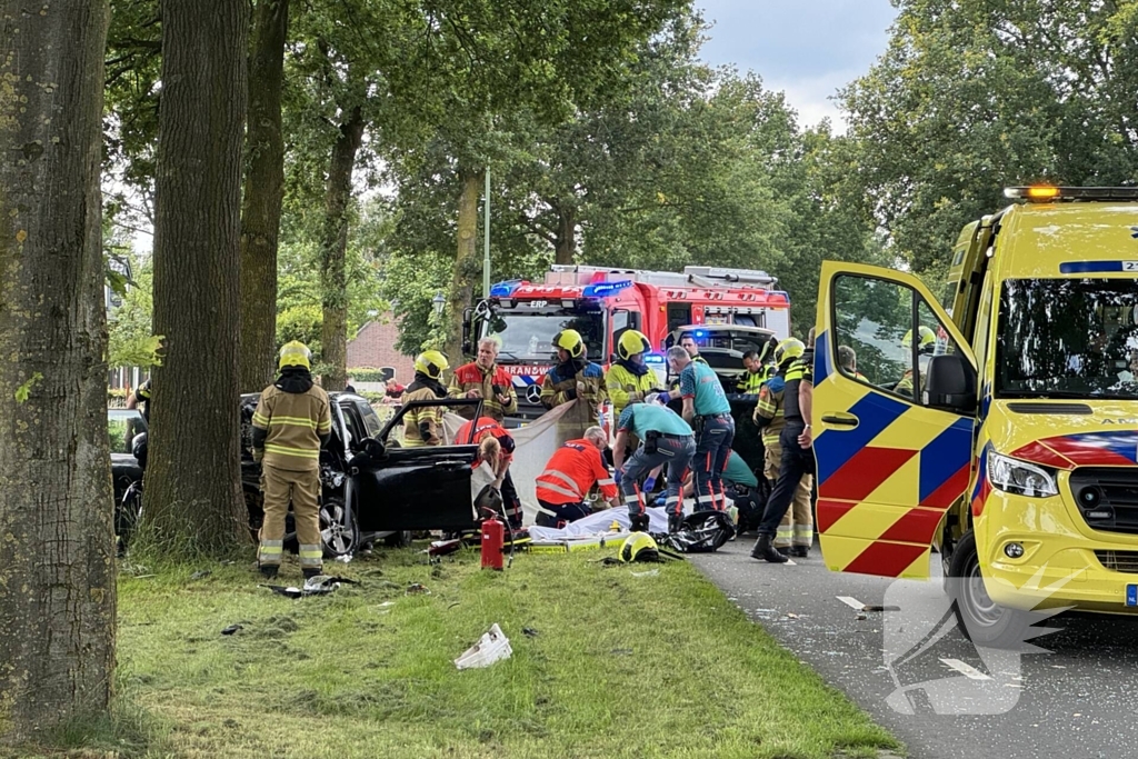 Bestuurder op slag dood na crash tegen boom