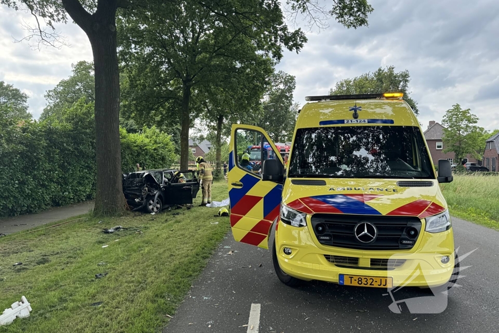 Bestuurder op slag dood na crash tegen boom