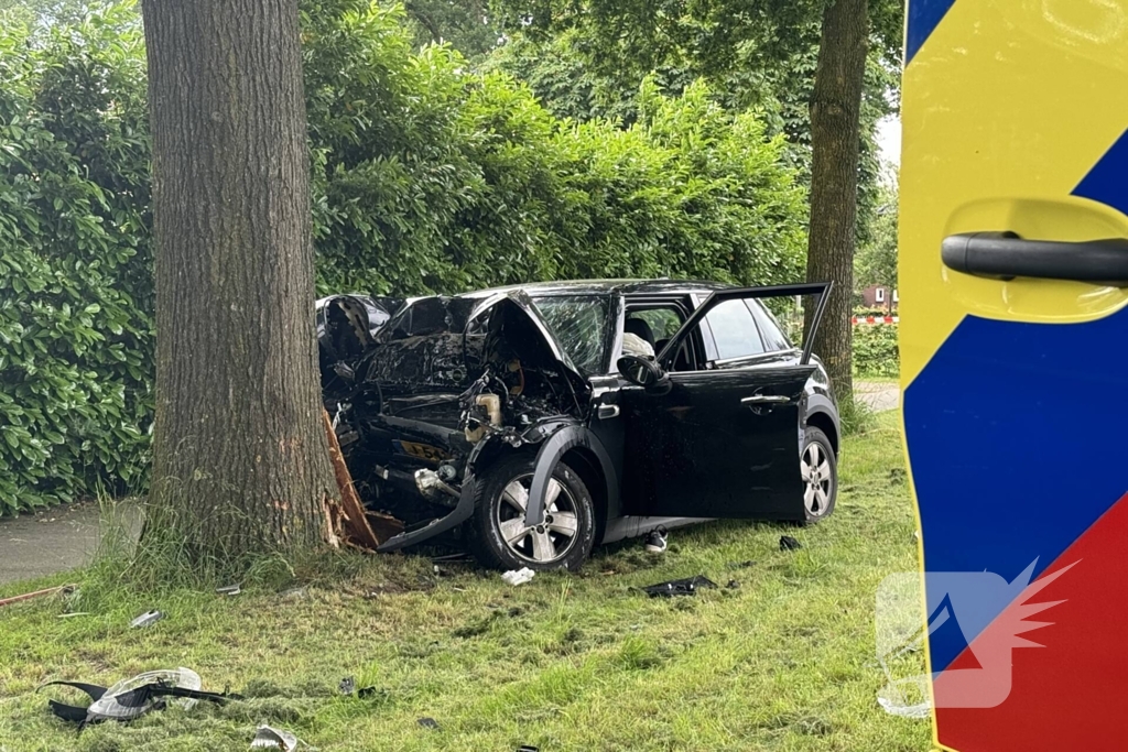 Bestuurder op slag dood na crash tegen boom