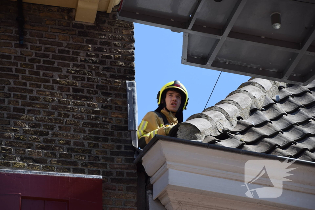 Brandweer aanwezig voor vogelnest