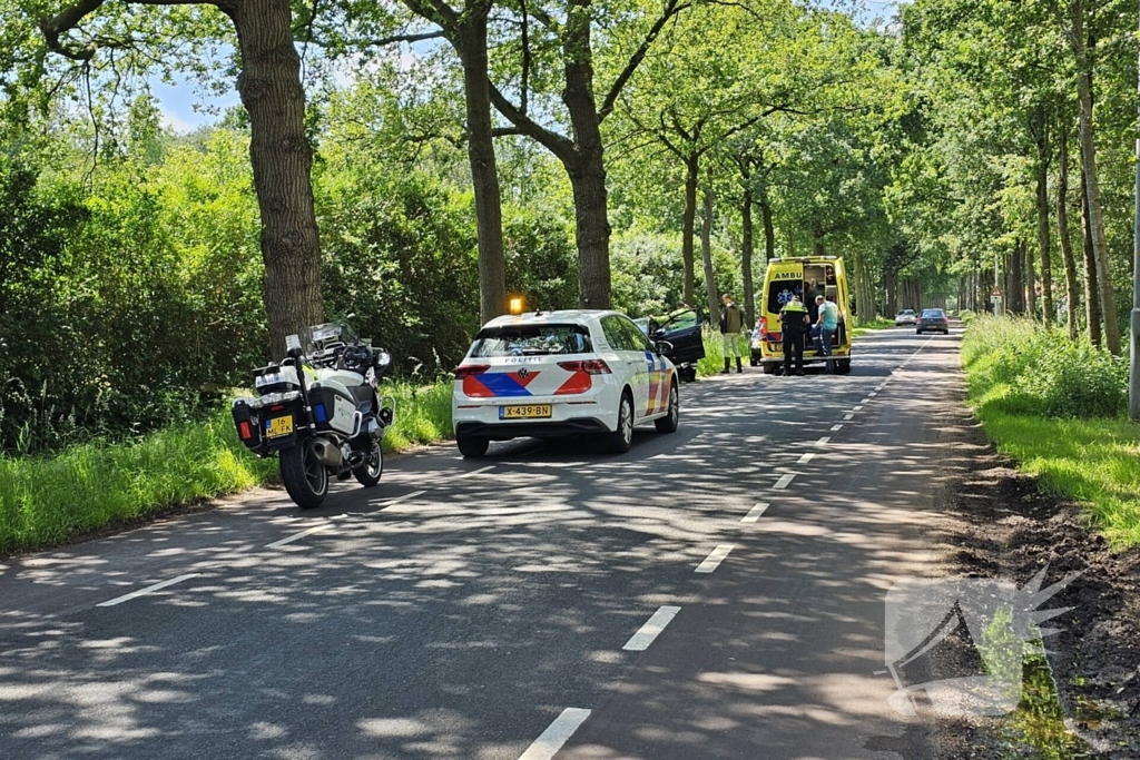 Bestuurder belandt tegen boom met auto