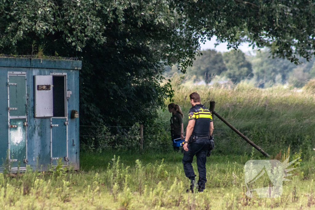 Grote zoektocht naar ontsnapte Serval