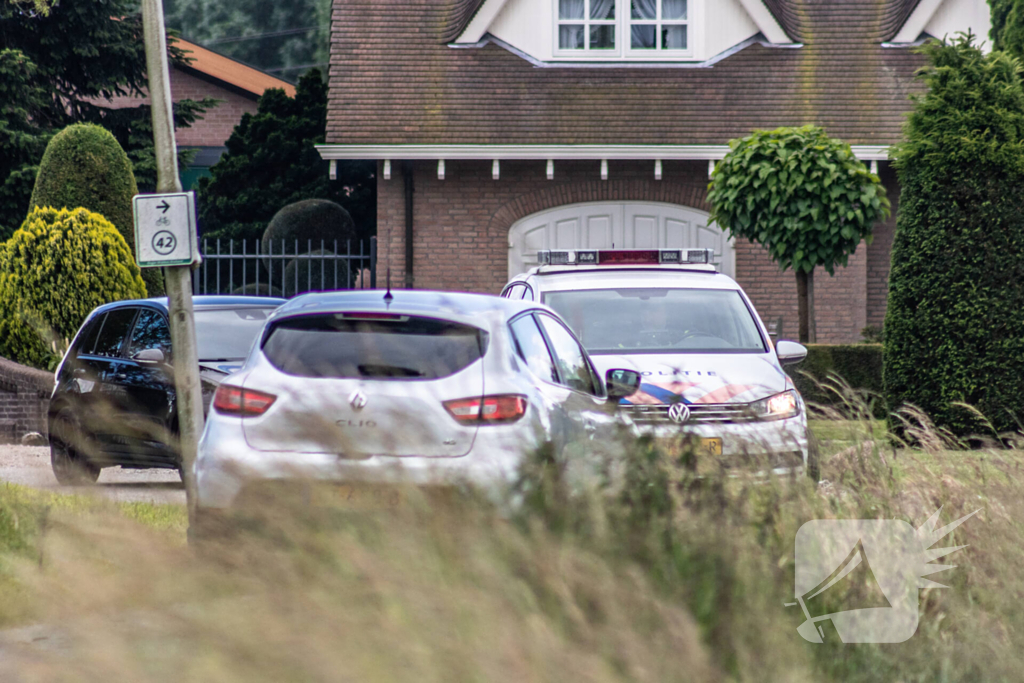 Grote zoektocht naar ontsnapte Serval