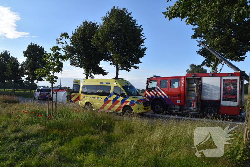 Automobilist botst tegen boom