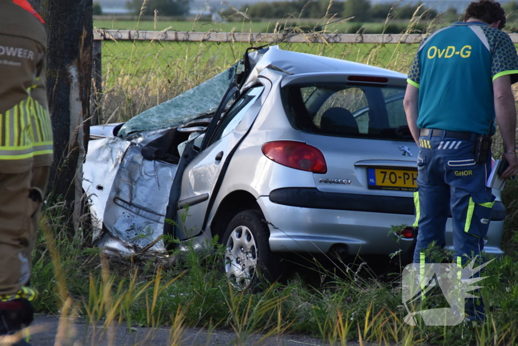 Automobilist botst tegen boom
