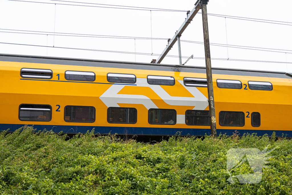 Treinverkeer plat door omgewaaide boom op bovenleiding