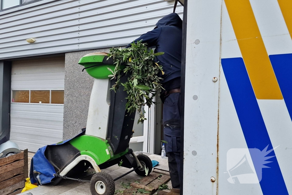 Hennepkwekerij met 200 planten opgerold