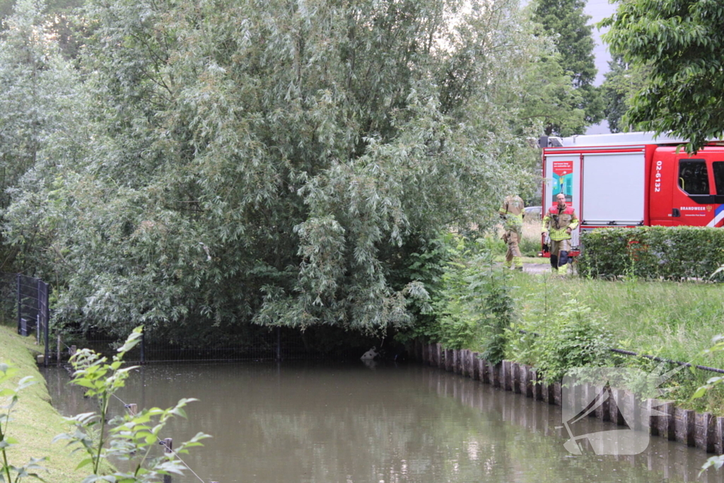 Brandweer aanwezig voor jong schaap in sloot
