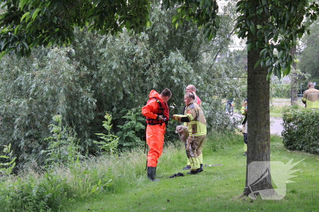 Brandweer aanwezig voor jong schaap in sloot
