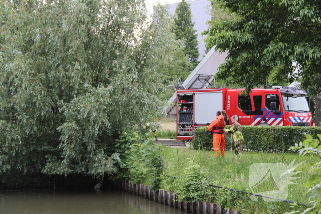 Brandweer aanwezig voor jong schaap in sloot