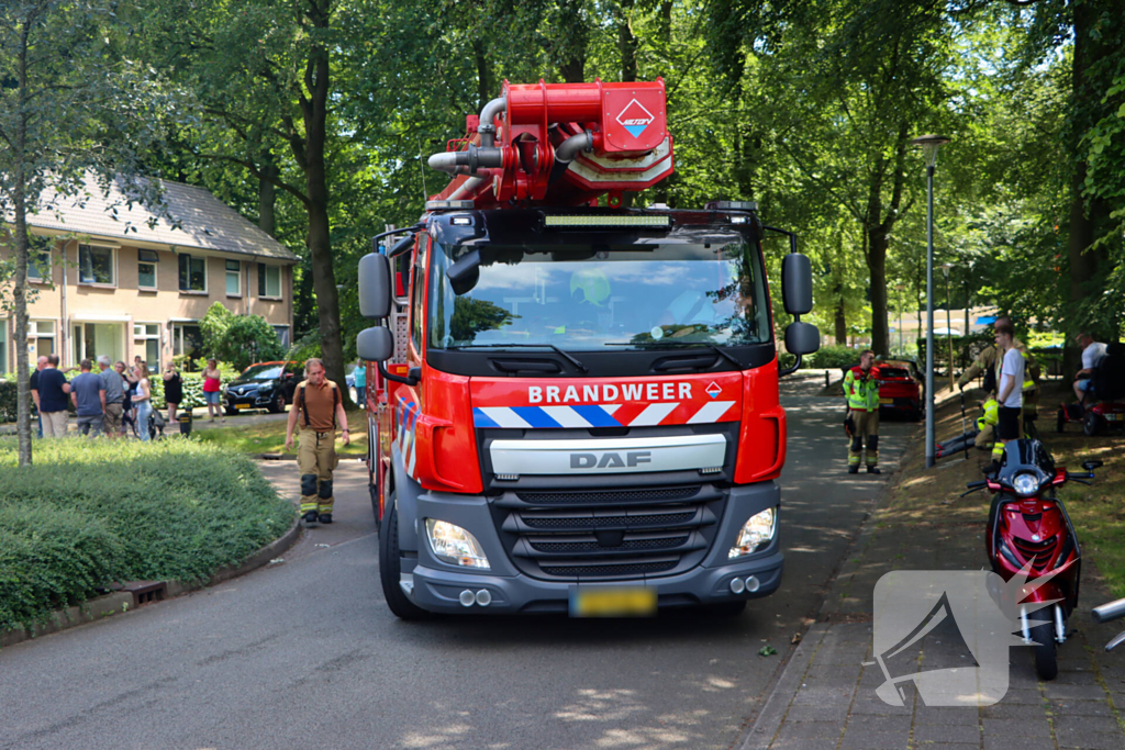 Brandweer redt kat uit een boom