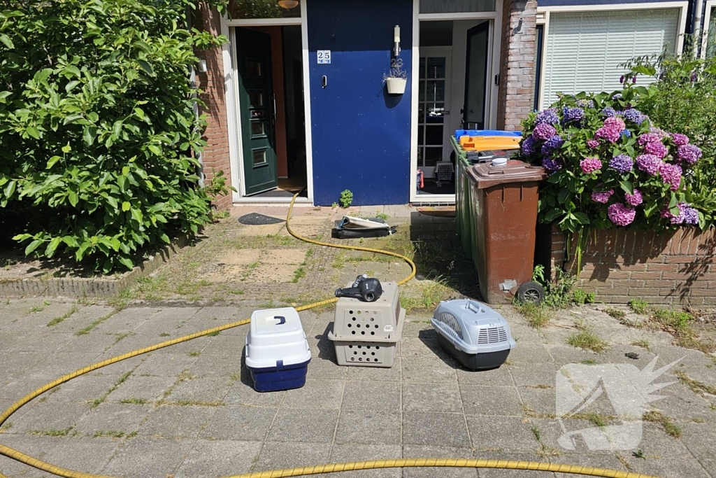 Brandweer forceert voordeur wegens brand