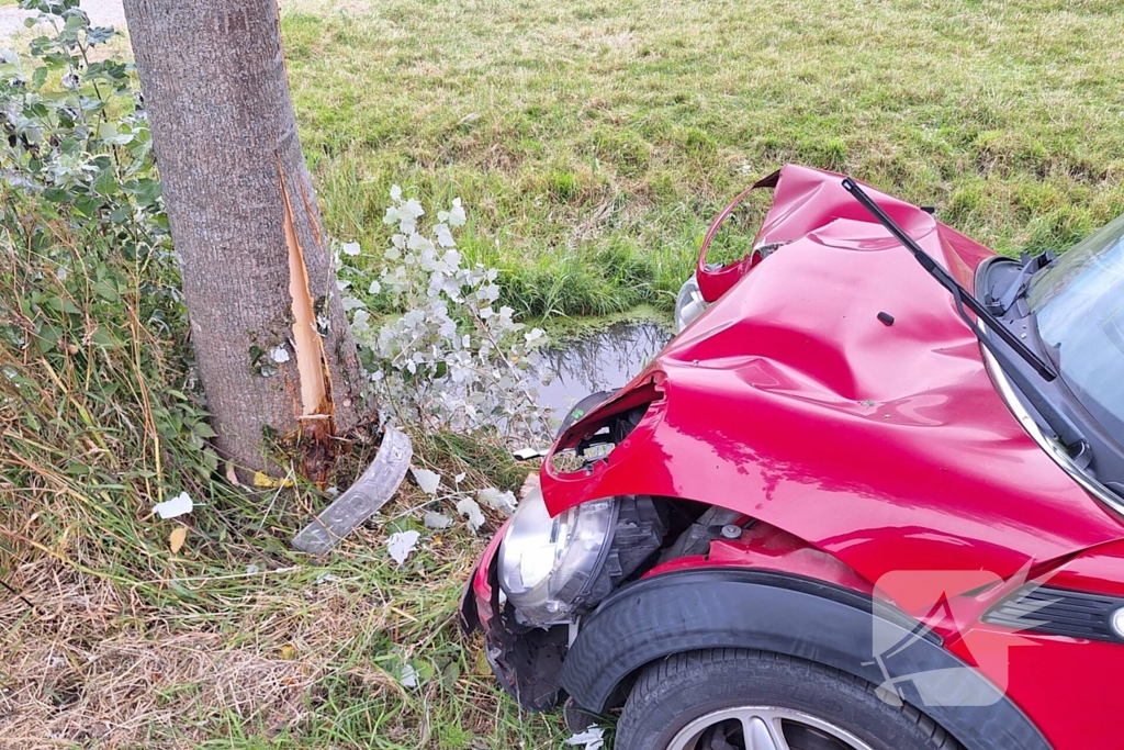 Automobilist verliest macht over stuur en klapt op boom