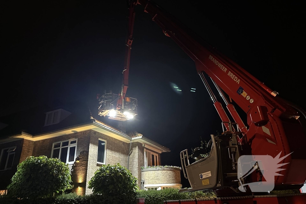 Brandweer haalt kat van dak