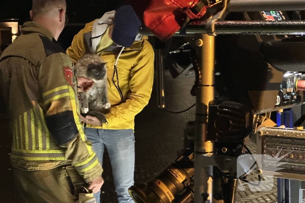 Brandweer haalt kat van dak