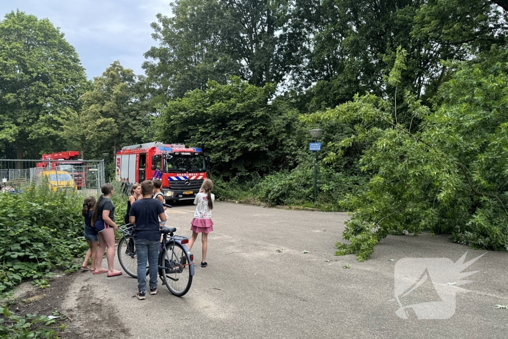 Grote tak breekt van boom en belandt op kind