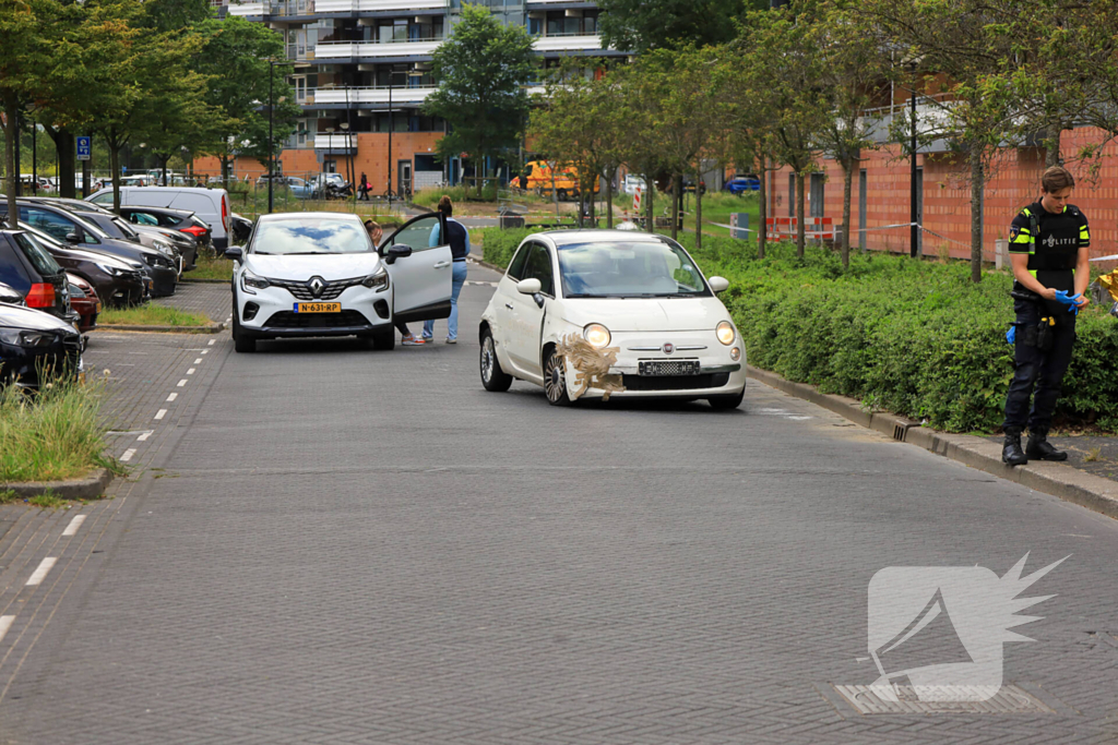 Verkeersruzie loopt uit op schietpartij