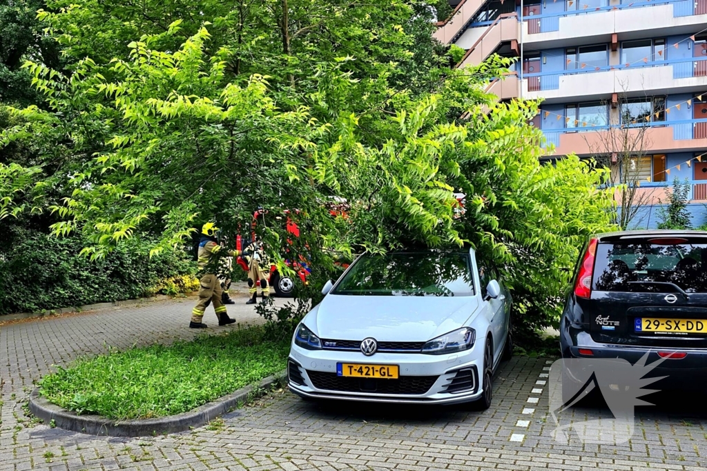 Grote tak valt uit boom op auto