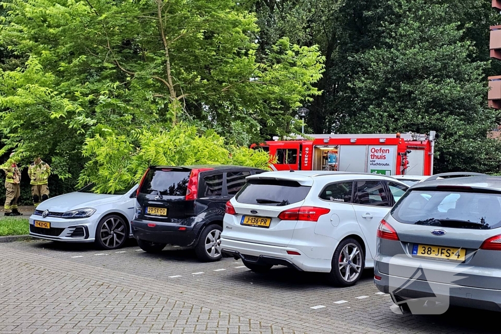 Grote tak valt uit boom op auto