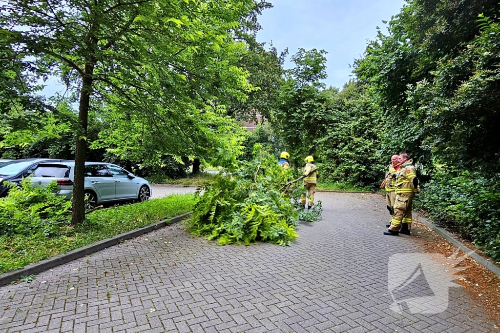 Grote tak valt uit boom op auto