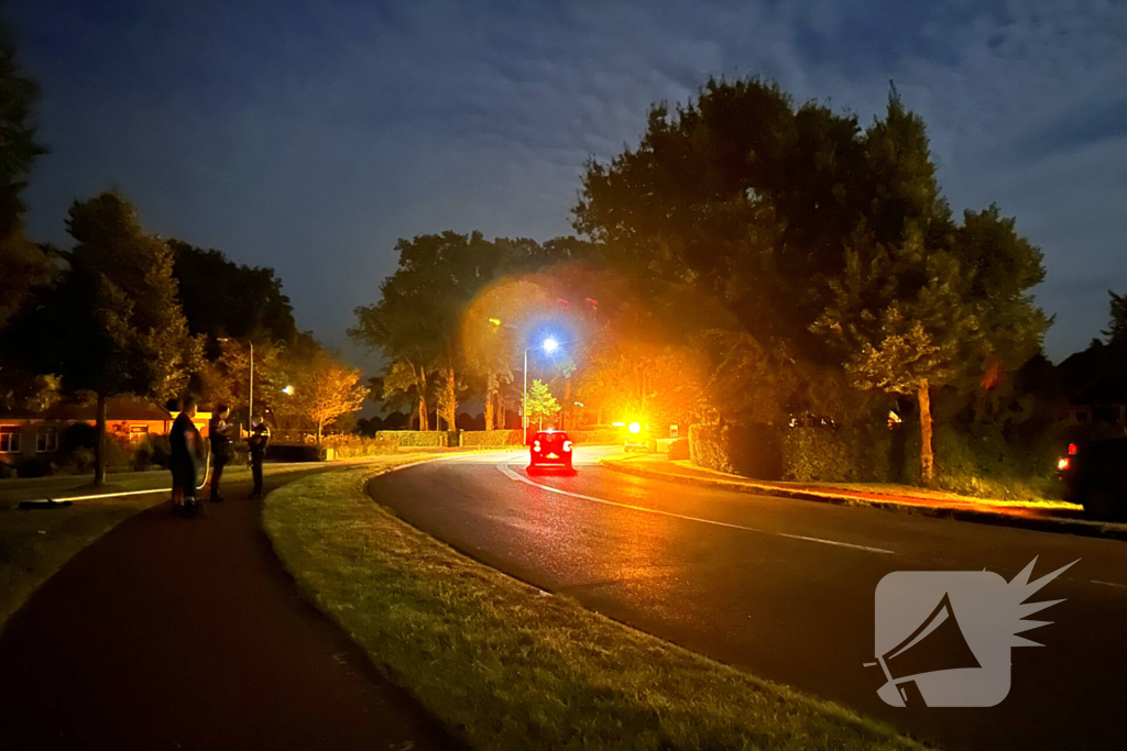 Auto ramt lantaarnpaal en eindigt in bosschages