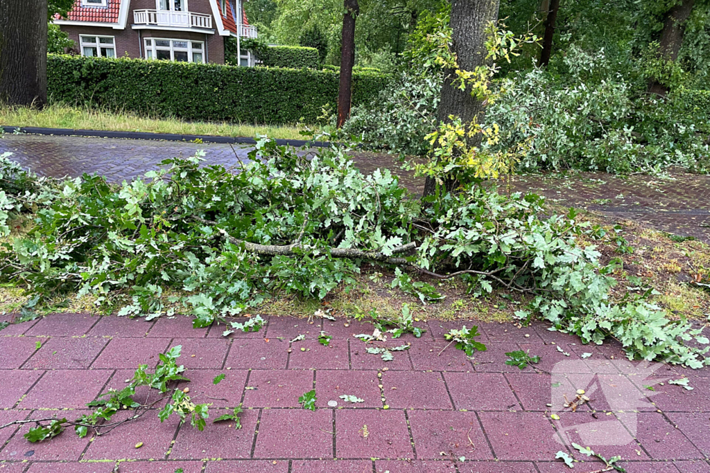 Boom breekt af en belandt naast weg