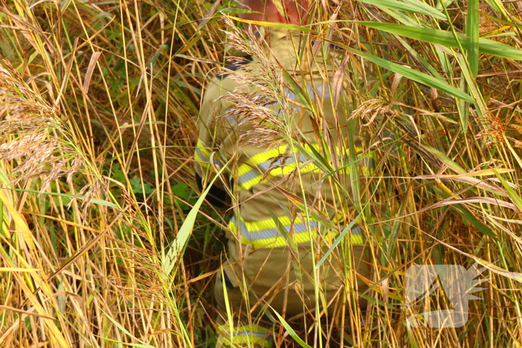 Brandweer assisteert dierenambulance bij zoektocht naar kat