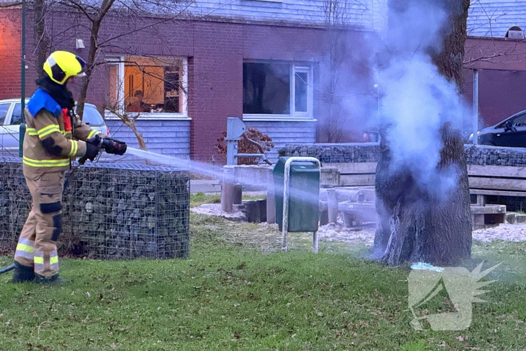 Brand in boom snel onder controle