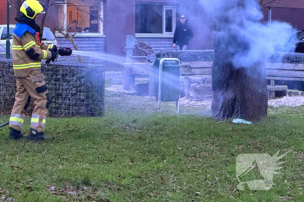 Brand in boom snel onder controle