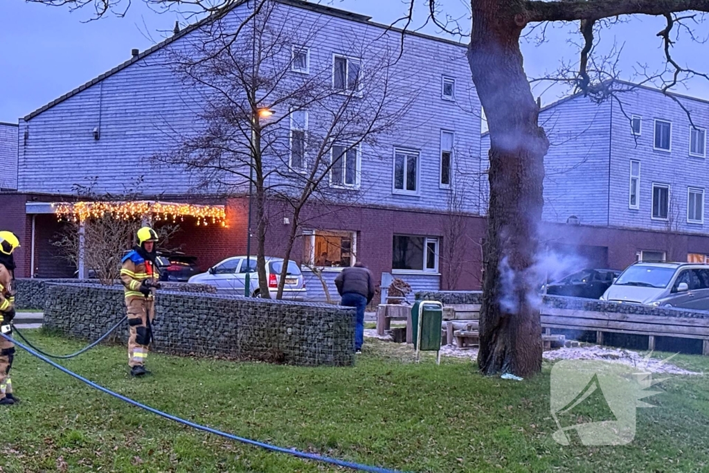 Brand in boom snel onder controle