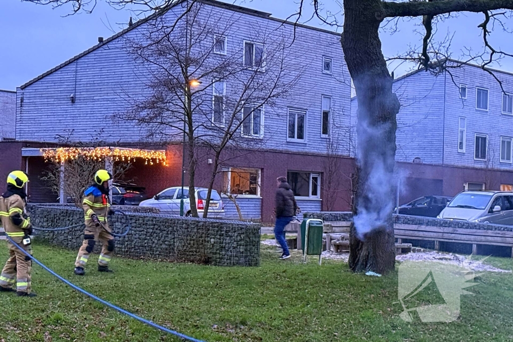 Brand in boom snel onder controle