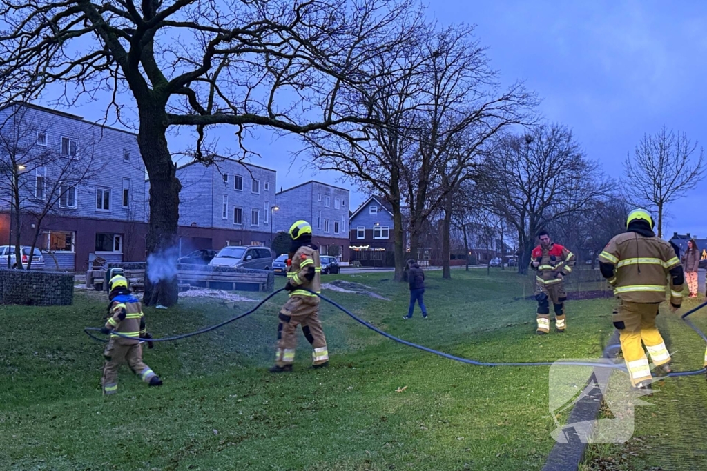 Brand in boom snel onder controle