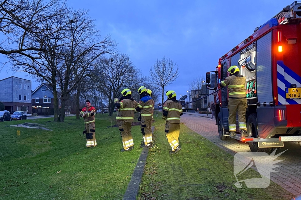 Brand in boom snel onder controle