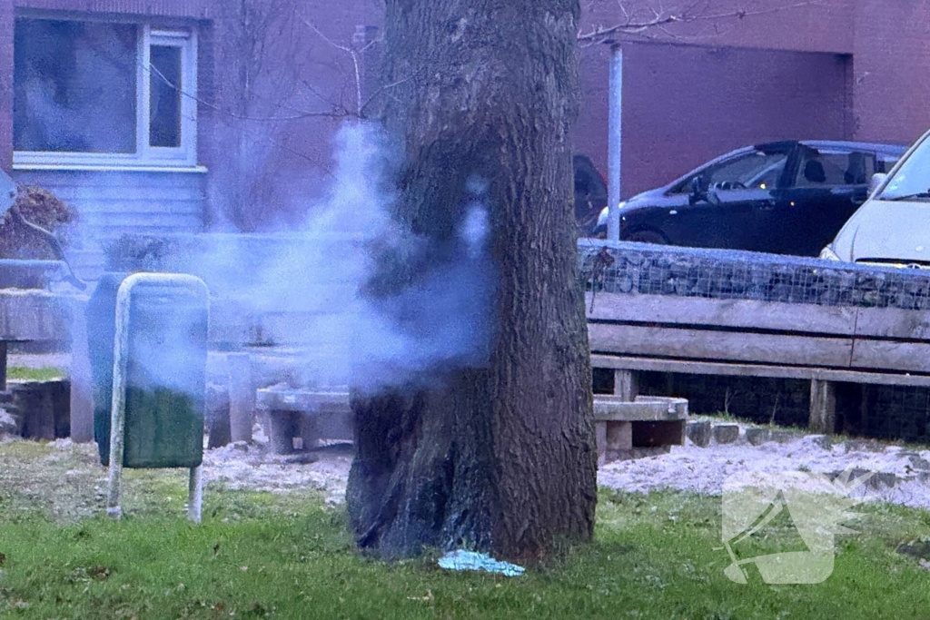 Brand in boom snel onder controle