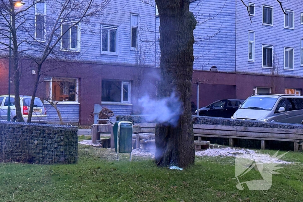 Brand in boom snel onder controle